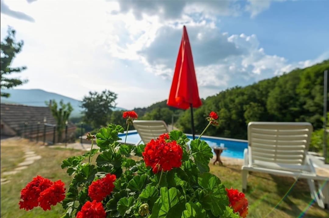 Honey House Villa Grabovac  Ngoại thất bức ảnh